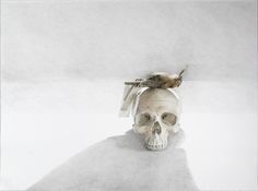 Skin and Bone, John Pusateri #bone #bird #illustration #skin #skull