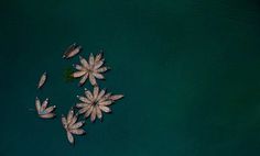 Gorgeous Scenes Of Bangladesh From Above by Shamim Shorif Susom