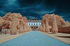 Surreal Infrared Nature Photography by Bradley G Munkowitz