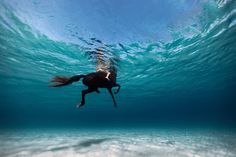 Stunning Underwater Photography by Enric Adrian Gener