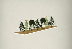 bayq2 #isometric #infographic #design #texture #trees