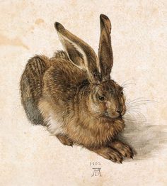 albrechtdurer_young_hare.jpg 850×943 pixels #rabbit