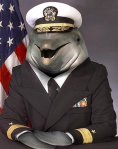 tumblr_lf01lmqD5q1qztwlro1_500.jpg (480×603) #america #army #government #dolphin #stars #usa #officer #suit #epic #general