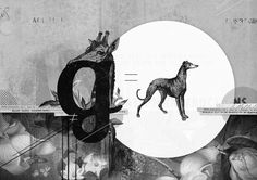 Orlagh Murphy - Rag Fief, 2011 #giraffe #white #greyhound #black #illustration #orlagh #collage #murphy