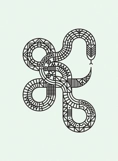 ThinkWorkObserve_Prints_04 #vector #pattern #snake