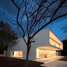 House Between the Pine Forest / Fran Silvestre Arquitectos