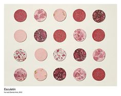 3: Esculetin, based on Damien Hirst | The Best Of The Wurst: Famous Artworks As Sausages | Co.Design: business + innovation + design #meat #color