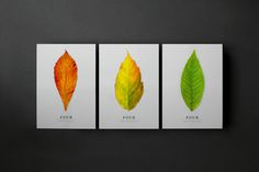 Matthew Hancock / Four Great Titchfield Street #logotype #leaf #design #graphic #marque #brand #identity #logo