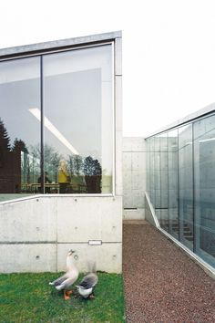 Hedge House | Wiel Arets Architects | Archinect #architecture #house #hedge
