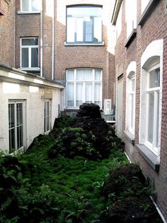 RA concept store in Antwerp | Yatzer #garden #roof #plants