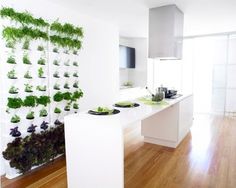 Picture-56-500x400.jpg 500×400 pixels #urban #saving #minigarden #space #vegetable #garden #herbs #vertical