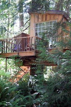 Treehouses of Treehouse Point - Temple of the Blue Moon #treehouse