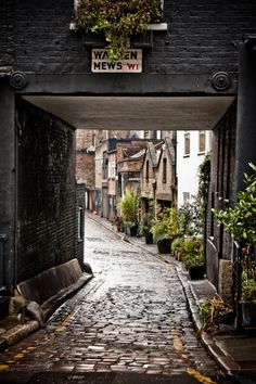 welcome to England then. #hidden #mews #cozy #home #street