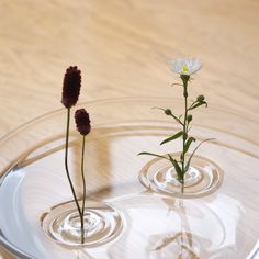 CJWHO ™ ("Floating Vase / RIPPLE" is their first...) #creative #amazing #vase #design #floating #ripple #clever