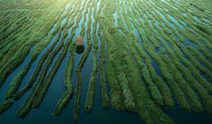 Inle Lake, Myanmar From Above by Dimitar Karanikolov