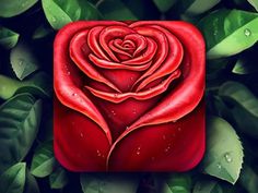 Rose App icon #loggia #leaf #icon #rose #texture #app #flower #ios #drops
