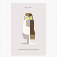 Fancy - Burrowing Owl Print #illustration #owl #poster