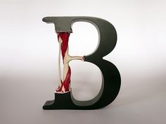 Evolution of Type, Exhibits 6-9 & 12 on the Behance Network #surgery #bone #letterform #type #typography