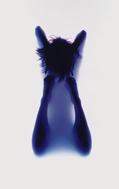 yoga photograms hauntingly highlight the human body's poised postures and positions