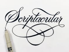 Scriptacular by Christopher Craig #script #lettering #hand #typography