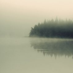 Tuve on the Behance Network #fog #holtermand #kim #photography #nature