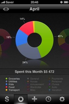 lovely ui (graphs on Saver ~ Control your Expenses) #saver #design #interface #iphone #digital #app