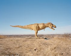 across the country | The Black Harbor #justin #dinosaur #photography #fantl