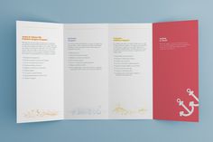 Medical Pediatrics Brochure design