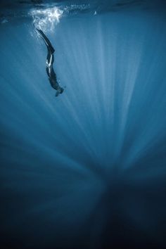 Red Bull Illume #ocean #water #person #dive #photography #nature #diving