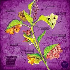mua125 on the Behance Network #design #flower #illustration #textile #purple #fashion #collage