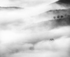 Andrei Baciu | Photogralysm | Winterly Haiku 6474 #fog