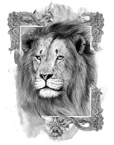 Drawing Lion #lion #alexandre #black #illustration #drawing