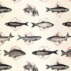 An Adventure of Inevitable Chance #illustration #fish #pattern