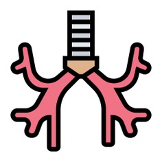 See more icon inspiration related to bronchus, respiration, healthcare and medical, anatomy, body organ, human body, healthcare and medical on Flaticon.