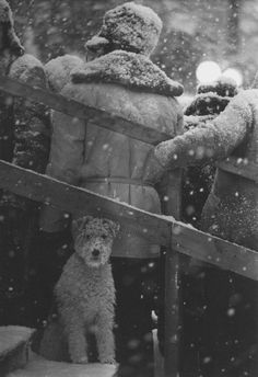 Soviet Life. | Flickr Photo Sharing! #white #dog #soviet #snow #black #photography #and #life #winter
