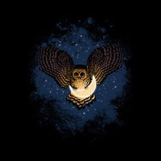 Catch the moon #owl #space #illustration #art #animal #moon