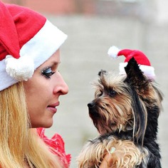 Christmas Pet Hat Santa Claus Hat for Cats Dogs Puppies