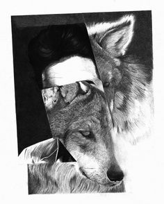 The Fox Is Black #kaneko #ei #white #black #illustration #animal #wolf #bw