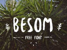Besom : Free Hand Drawn Brush Font