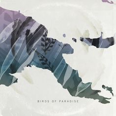 Birds of Paradise #album #tape #mix