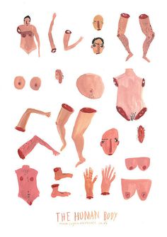 The Human Body Poster Print #bodyparts #illustration #etsy