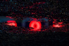 Wet Neon: Magical Reflections In Street Puddles by Slava Semeniuta