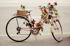 The cherry blossom girl (2) #plants #girl #blossom #cherry #photography #bike #flowers