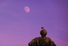 Stock Home 2011 on Behance #sweden #wallb #sky #seagull #statue #stockholm #moon