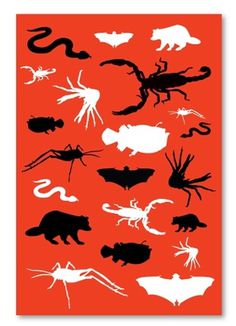 Dark Nature on the Behance Network #museum #insects #bugs #bug #icons #insect #rodent #animals #rodents