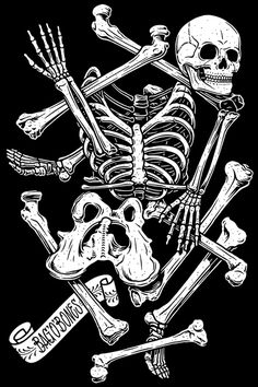 X__X • 死 者 の 顔 •: Photo #illustration #skeleton