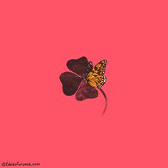 By Chance | Tobe FonsecaÂ #luck #petals #leaf #pink #plant #chance #butterfly #fate #illustration #clover #nature #leaves