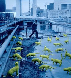 Creative Colorful Photography by Sandy Skoglund #colorful #photography #inspiration