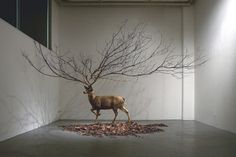 Colossal #deer #installation