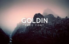 Goldin Free Typeface